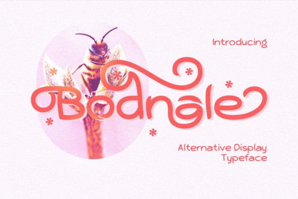 Bodnale: A Font for Editorial Elegance
