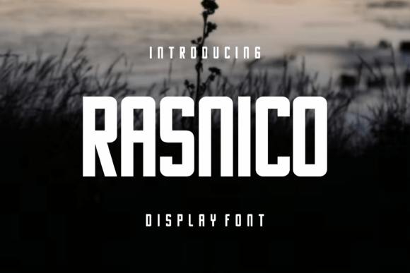 Using Rasnico: A Designer’s Font Test for Branding